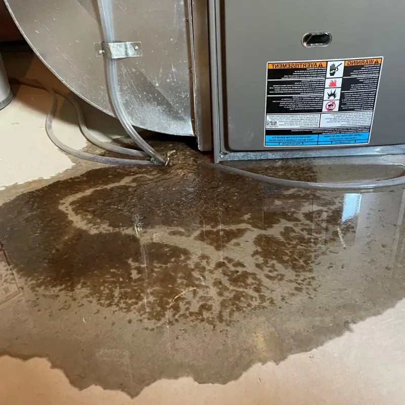 Pipe Burst and Leak Restoration in Ossining, NY